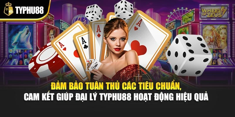 Đảm bảo tuân thủ các tiêu chuẩn, cam kết giúp đại lý Typhu88 hoạt động hiệu quả 